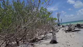 Relaxing Beach Walk Secluded Island - Florida