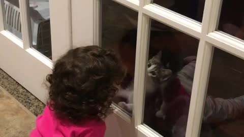 Kittens & Kids