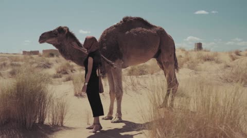 women touching a camel