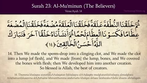 Quran: 23. Surah Al-Mu'minun (The Believers): Arabic and English translation 23 / 114