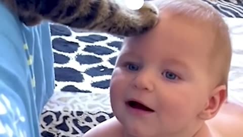 See how the cute cat comfort the crying little baby!!!!