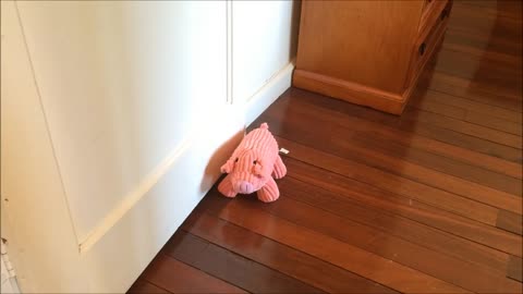 Piggy Door Stop