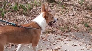 Claire Bear and Tucker Carlson At The State Park