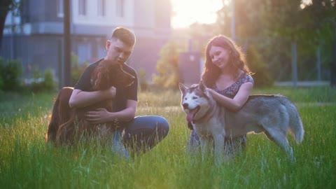 Young lovely couple caress their dogs outdoors recreation at sunset