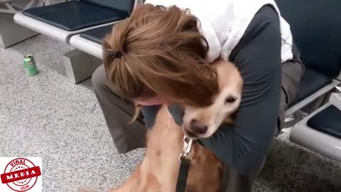 Dogs Welcoming Soldiers Home Compilation Part_13
