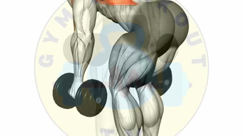 Dumbbell Back Workout #shorts #backworkout #bodybuilding