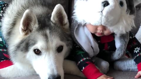 Baby and husky have adorable matching outfits