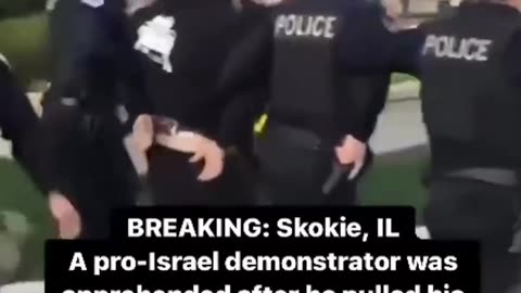 A Chicago, un filo-sionista ha aperto il fuoco su una manifestazione pro-palestinese