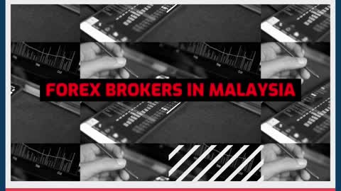 Best Webmoney Forex Brokers In Malaysia 💸 Forex Brokers 💸