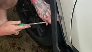Getting A Kitten Out Of The Car