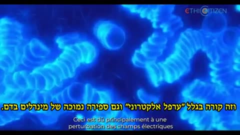 בחיסון השלישי אין פלסבו ותראו מה קורה לדם של אנשים שקיבלו את הדבר האמיתי בסרטון