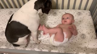 Baby smiles and talks to his sweet French Bulldog