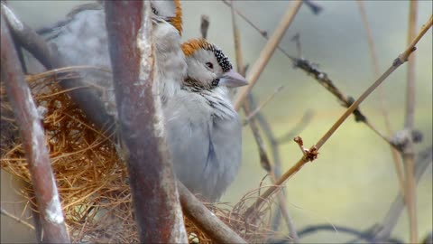 Share moments, share Sparrow.