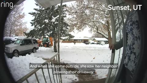 Best Little Girl Crosses Paths With A Bobcat & Dad Forgets Dog Outside _ Neighborhood Stories