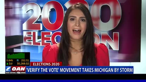 'Verify the Vote' movement takes Mich. by storm