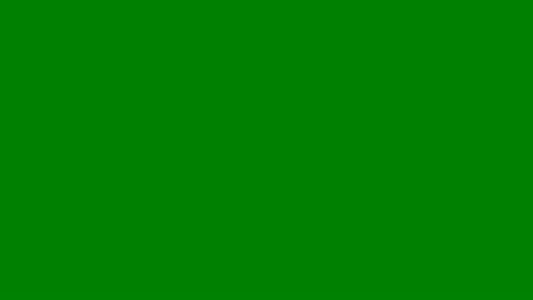 🌈Nature Green color 🎞️ Video Screen for 60 Minutes🔇 | Silent 111_46