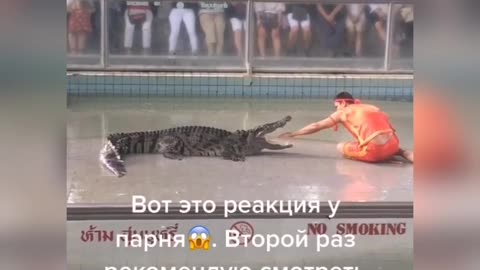 Crocodile teaching