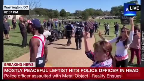 Police Officer Assaulted by BLM Protestor