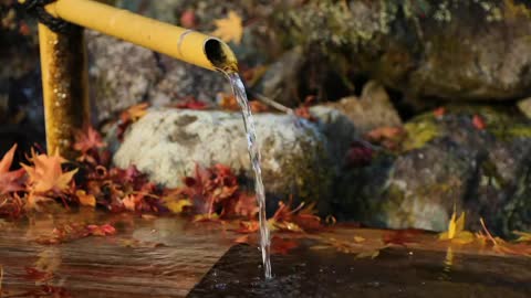 Sound of spring water flowing down from bamboo 1 hour Relax