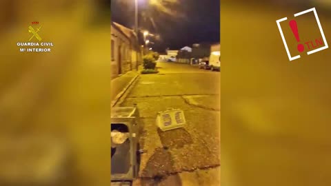 Investigan a un hombre por abandonar a ocho cachorros en un contenedor en Valladolid