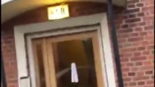 Blue shirt black jeans on top of door way outside falls tyring to get down