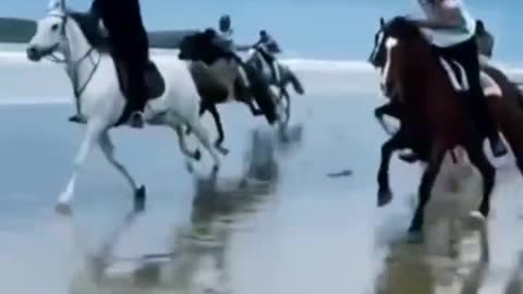 Horses on beach 😍
