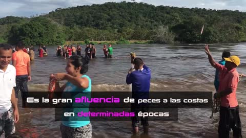 Colombia Venezuela río en rivason