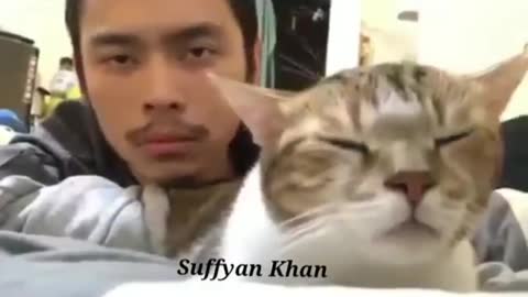 Funny Cat Doing Moves On Rap Song 😂😂