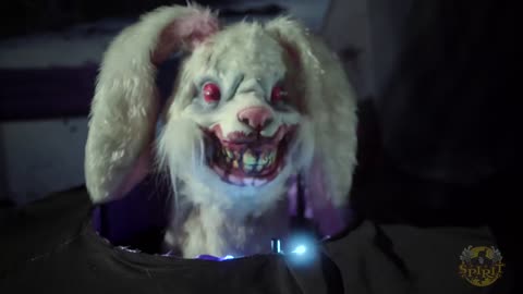 Animated Deranged Bunny