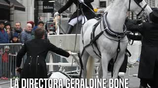 Angustiante momento en el desfile de Año Nuevo, después de que un caballo se desplomara