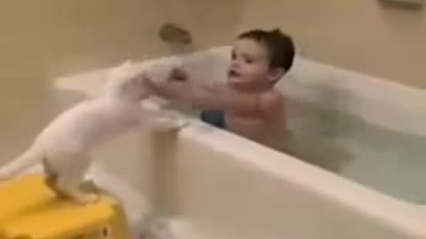 The Little boy is bathing his dog, see what happens.
