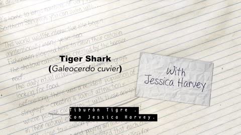 Tiburón Tigre - Spanish - Expedition Notebook