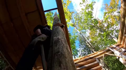 Father & Son Build their Dream Log Cabin in the Canadian Wilderness (FULL BUILD)