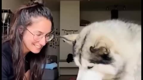 Funniest Animals Videos 2024 🐧 - Try Not To Laugh Dogs And Cats 😁