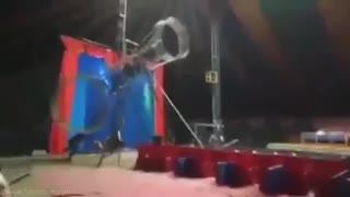 Accidente circo