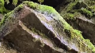 WATER DROPS ON A ROCKY MOUNTAIN SIDE #explore