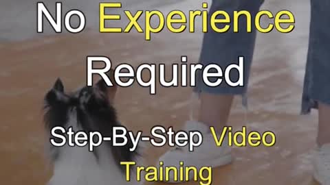 Best Dog Training System USA 2021 - Create Obedient Loving Pet