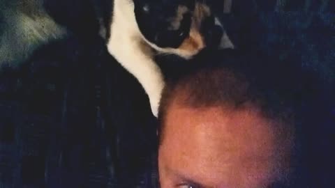 Cat cleaning my hair