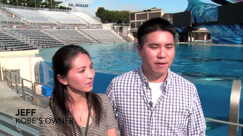 Kobe The Therapy Dog Meets Dolphins and Whales At SeaWorld San Diego