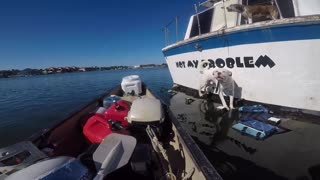 Man Rescues Dog From Drowning