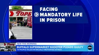 Buffalo supermarket shooter pleads guilty