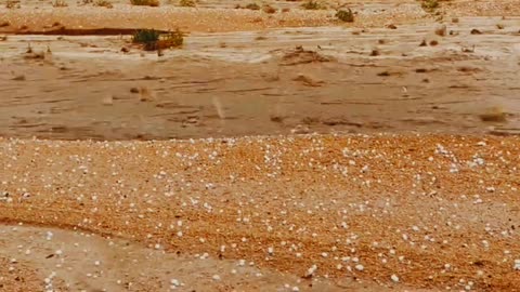 rain and hailstorm | desert | weather #nature #desert #weather #rain #hailstorm #hailing