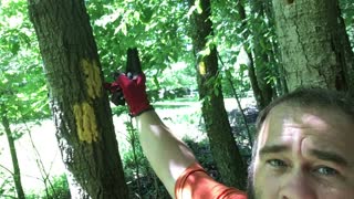 Trail Maintenance along the Baker Trail in Western PA