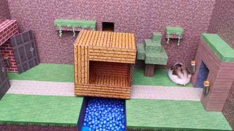 🐹 Hamster Escape the Awesome Maze for Pets in Real Life 🐹 Hamster Stories Part 1