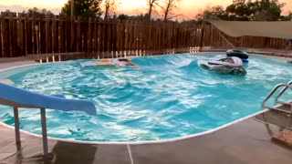 California earthquake creates waves in family swimming pool