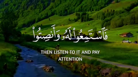 Best Quran Recitation Ever | Quran Kareem
