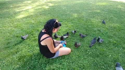 Lady in park is a natural born pigeon whisperer