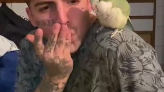 Bird Grooves to Beatboxing
