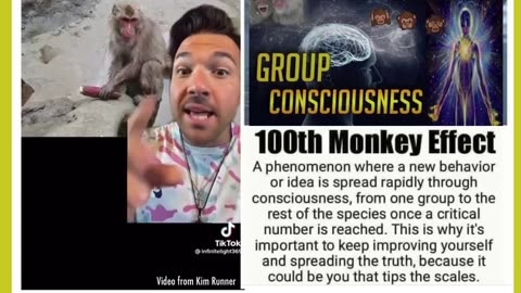 100th Monkey Effect