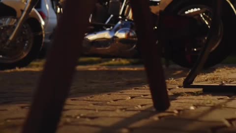 Harley Davidson - Car - Shorts - Carshorts